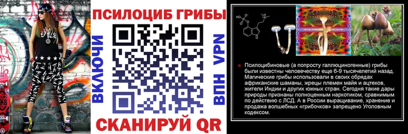 Псилоцибиновые грибы GOLDEN TEACHER  где можно купить   Курлово 